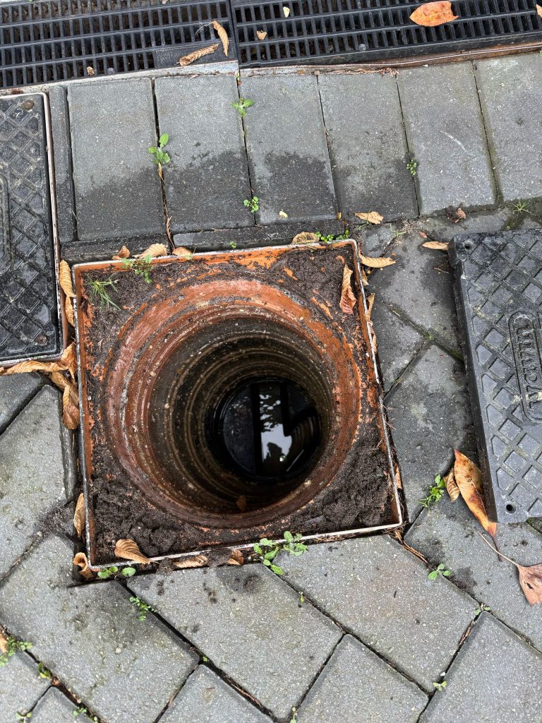 Blocked drain in Rayleigh